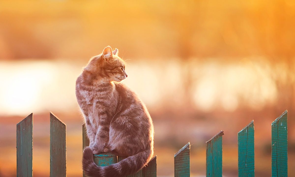 Διάβασε ΔΩΡΕΑΝ την προσωπική σου πρόβλεψη, για σήμερα 02/06/2023