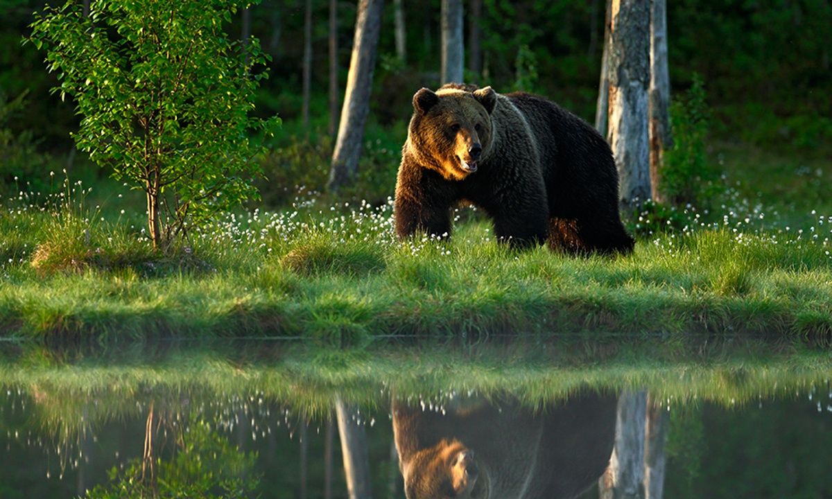 Διάβασε ΔΩΡΕΑΝ την προσωπική σου πρόβλεψη, για σήμερα 04/06/2023