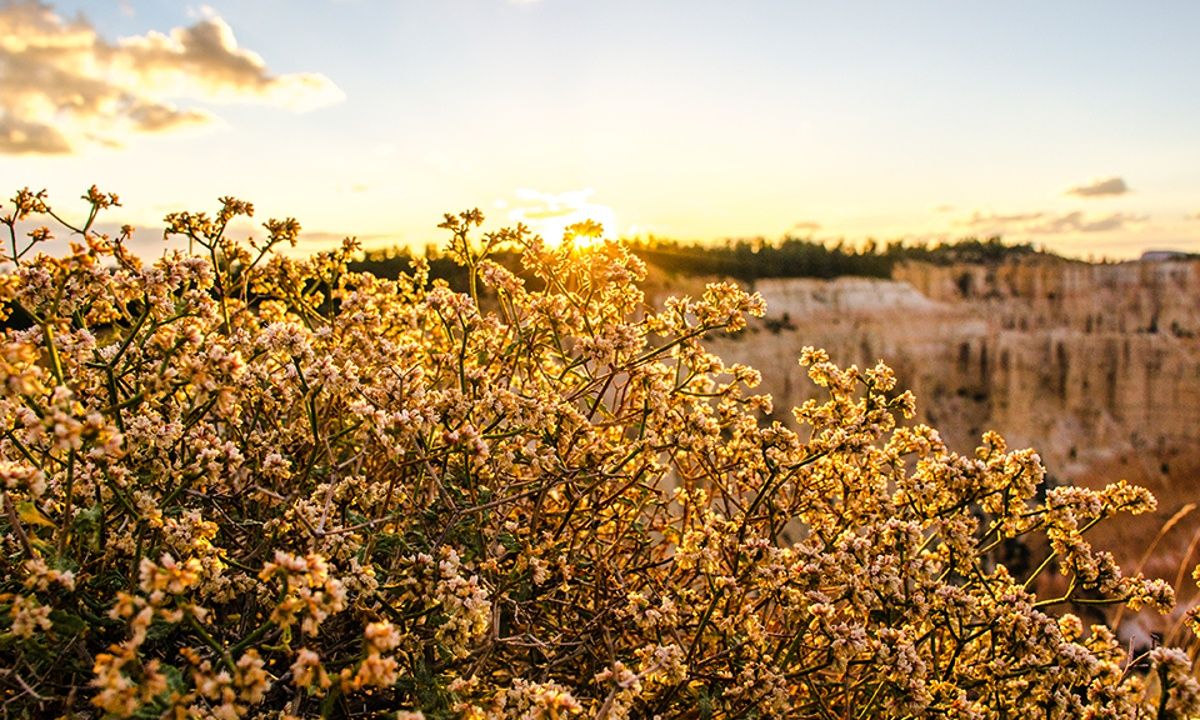 Διάβασε ΔΩΡΕΑΝ την προσωπική σου πρόβλεψη, για σήμερα 07/06/2023
