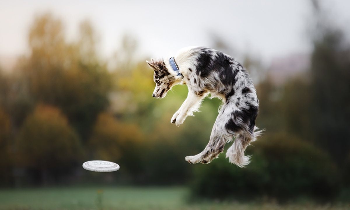 Διάβασε ΔΩΡΕΑΝ την προσωπική σου πρόβλεψη, για σήμερα 06/06/2023