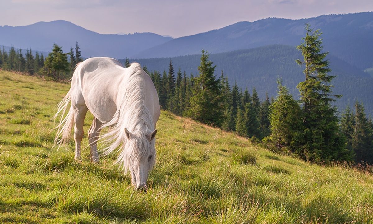 Διάβασε ΔΩΡΕΑΝ την προσωπική σου πρόβλεψη, για σήμερα 08/06/2023