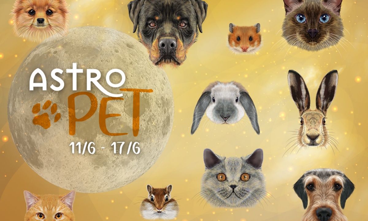 AstroPet 11/06-17/06: Εβδομαδιαίες προβλέψεις για το κατοικίδιό σου