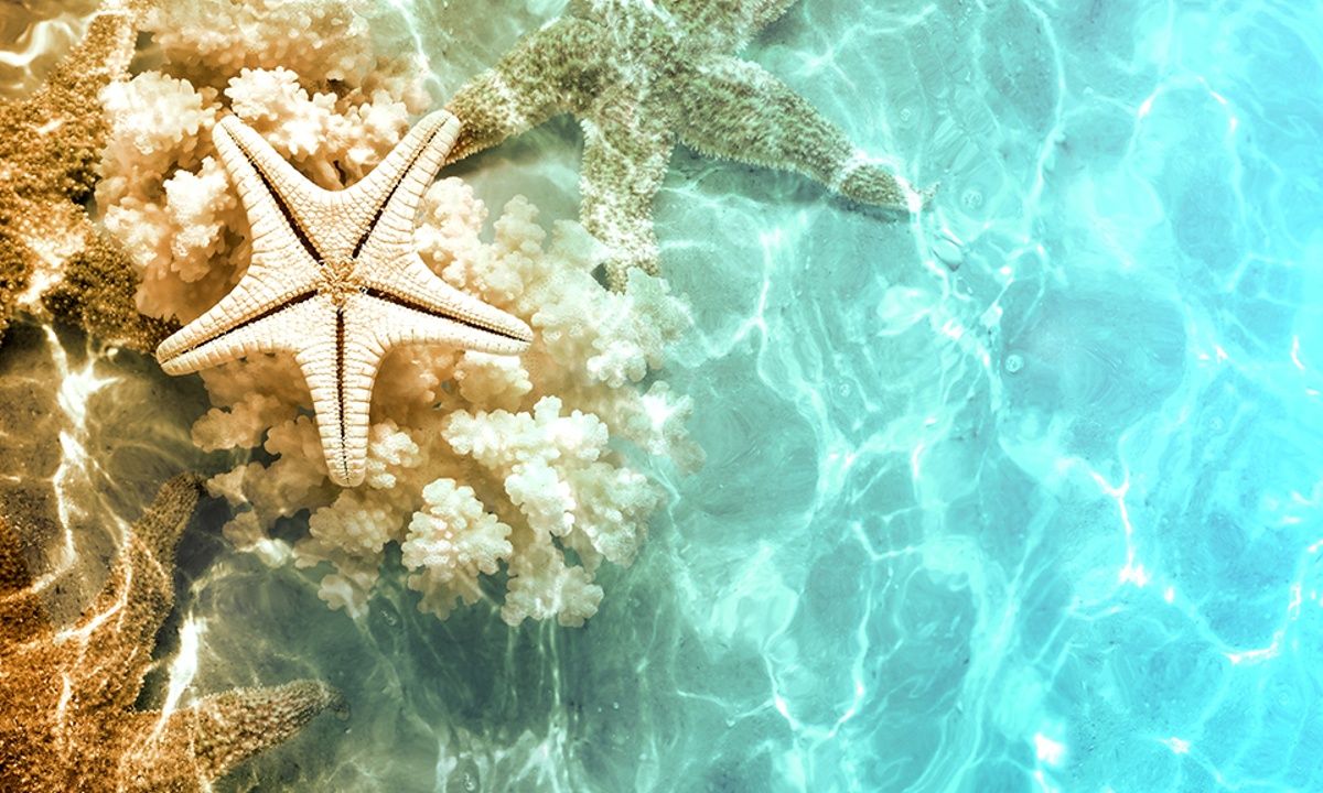 Διάβασε ΔΩΡΕΑΝ την προσωπική σου πρόβλεψη, για σήμερα 16/06/2023