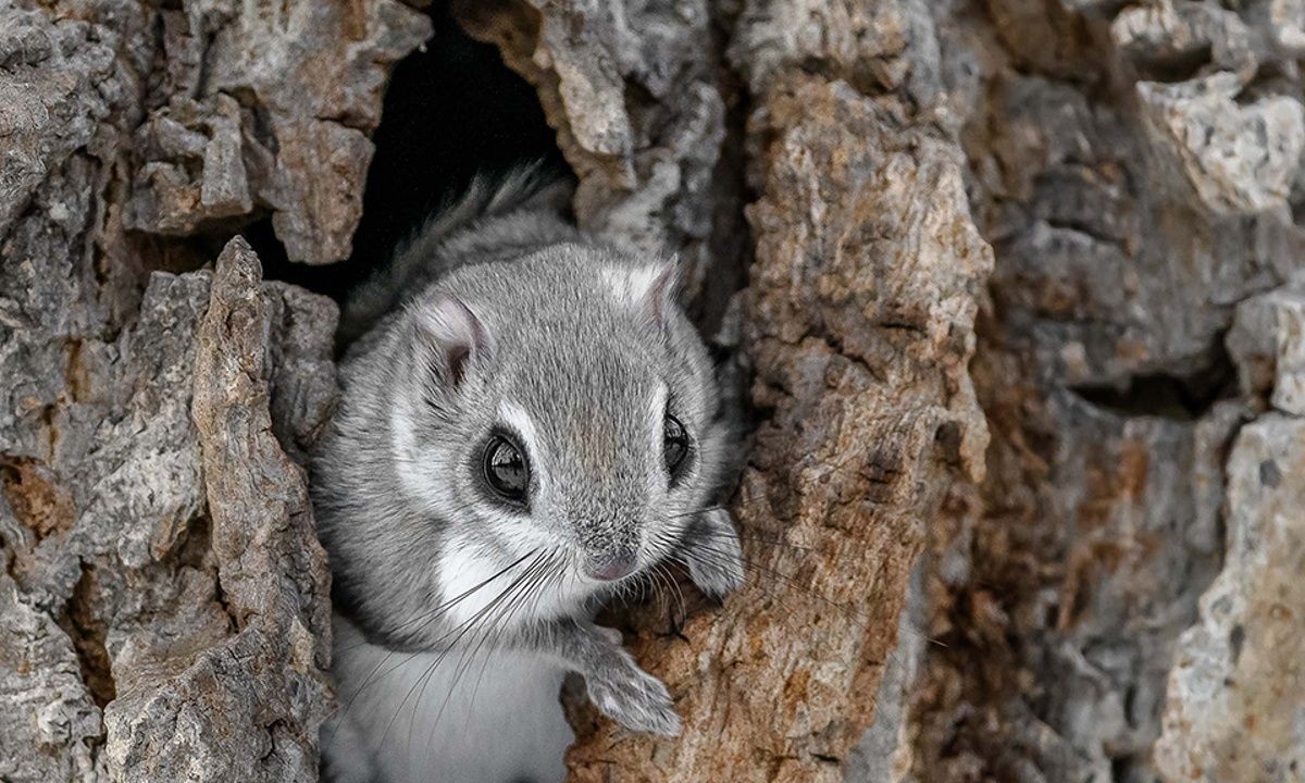 Διάβασε ΔΩΡΕΑΝ την προσωπική σου πρόβλεψη, για σήμερα 22/06/2023
