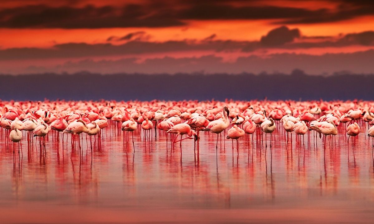Διάβασε ΔΩΡΕΑΝ την προσωπική σου πρόβλεψη, για σήμερα 29/06/2023