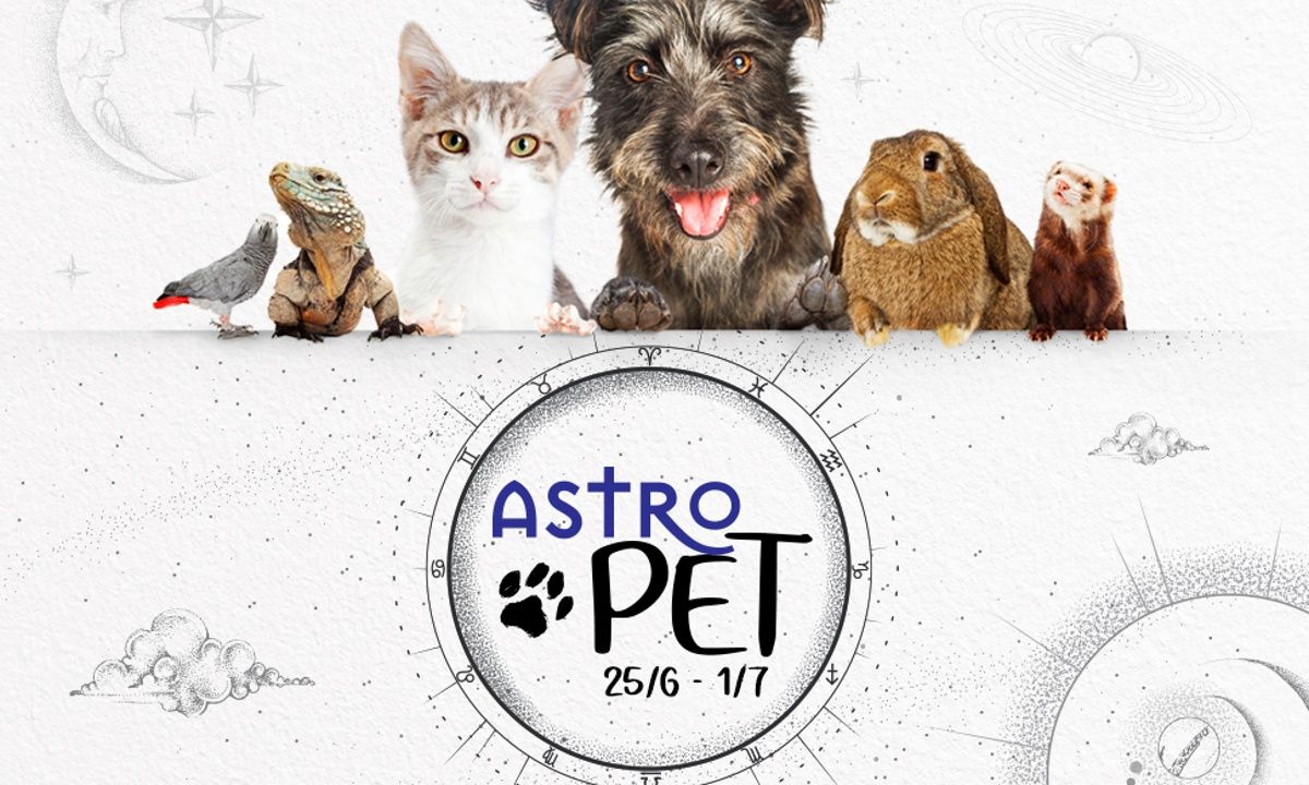 AstroPet 25/06-01/07: Εβδομαδιαίες προβλέψεις για το κατοικίδιό σου