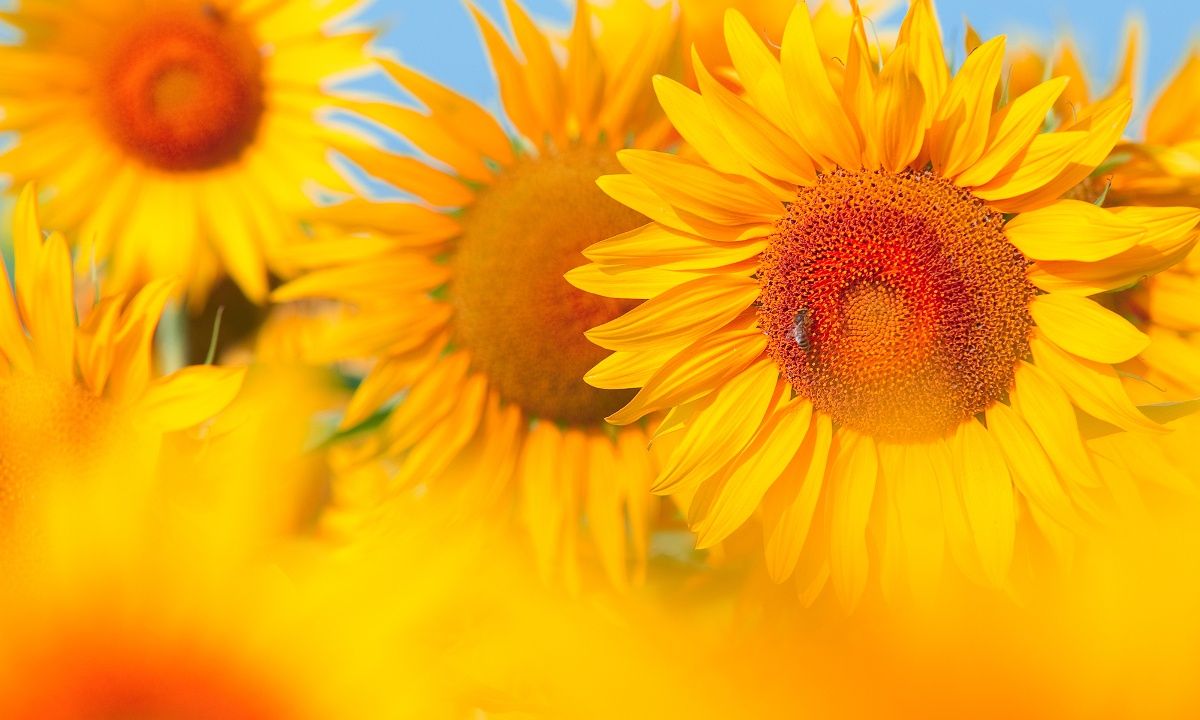 Διάβασε ΔΩΡΕΑΝ την προσωπική σου πρόβλεψη, για σήμερα 01/07/2023