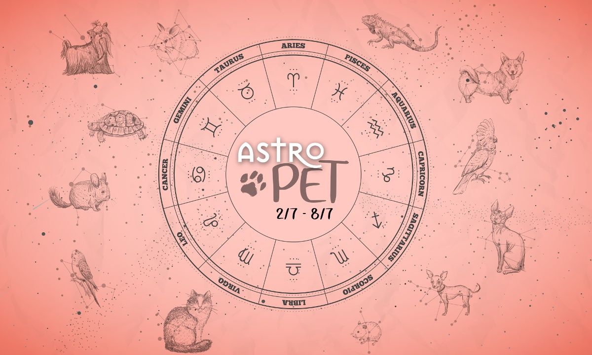 AstroPet 02/07-08/07: Εβδομαδιαίες προβλέψεις για το κατοικίδιό σου