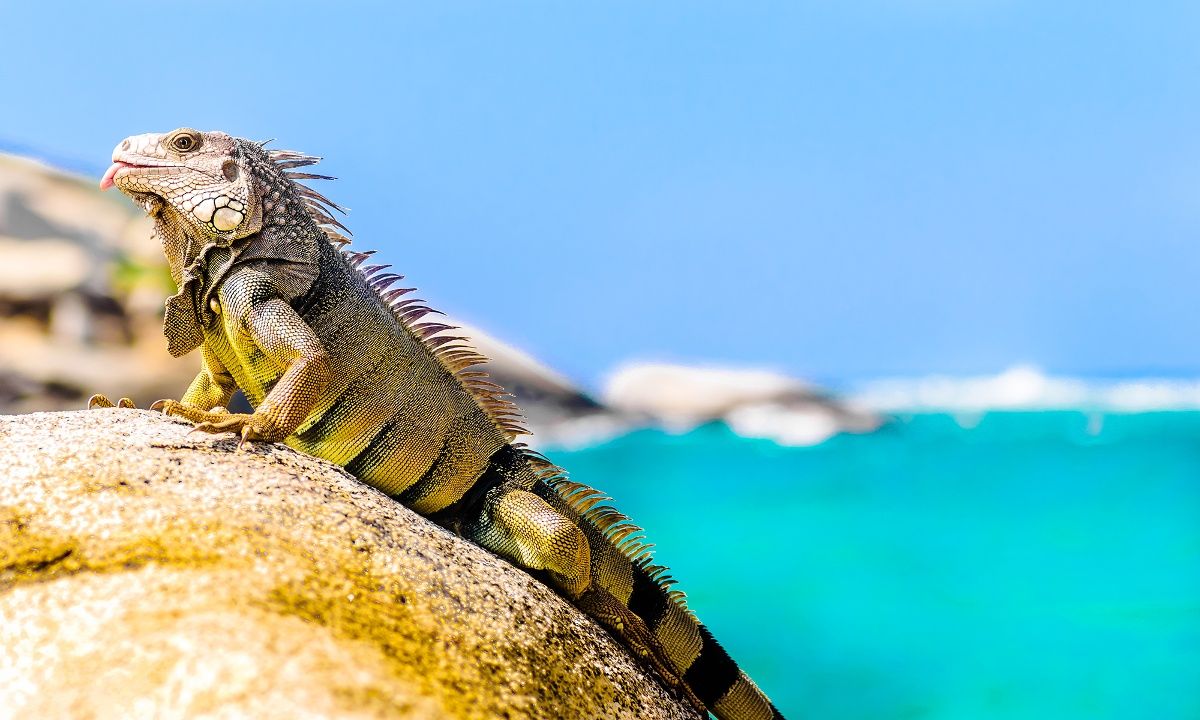 Διάβασε ΔΩΡΕΑΝ την προσωπική σου πρόβλεψη, για σήμερα 04/07/2023