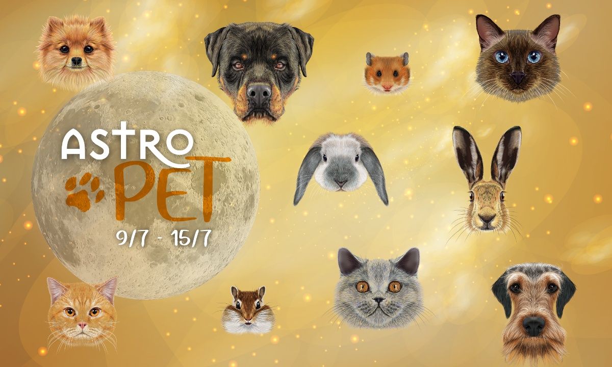 AstroPet 09/07-15/07: Εβδομαδιαίες προβλέψεις για το κατοικίδιό σου