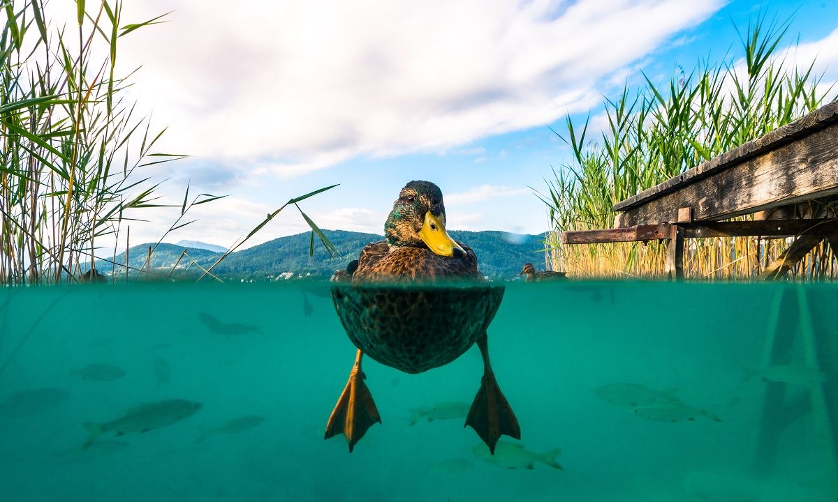 Διάβασε ΔΩΡΕΑΝ την προσωπική σου πρόβλεψη, για σήμερα 08/07/2023