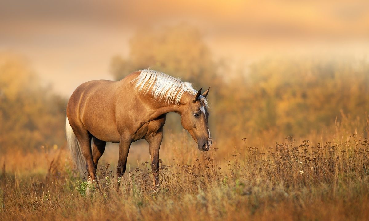 Διάβασε ΔΩΡΕΑΝ την προσωπική σου πρόβλεψη, για σήμερα 14/07/2023