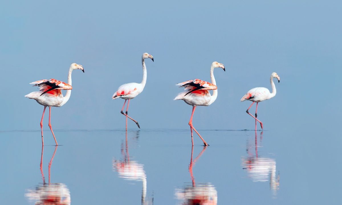 Διάβασε ΔΩΡΕΑΝ την προσωπική σου πρόβλεψη, για σήμερα 10/07/2023