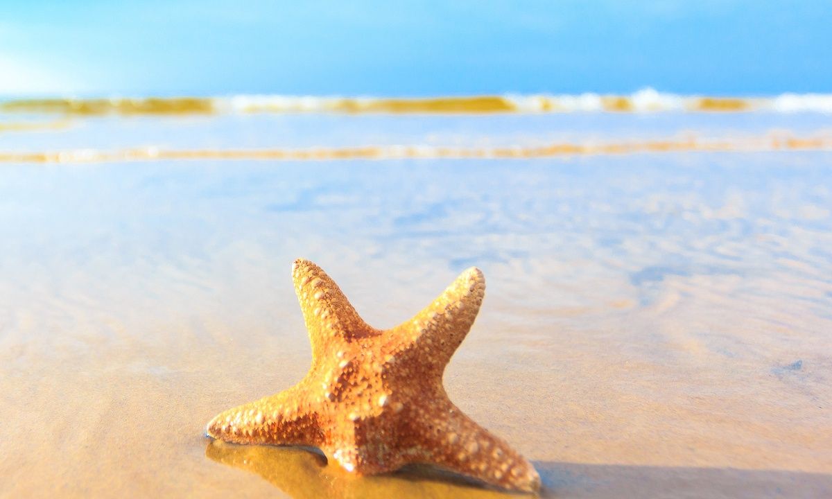 Διάβασε ΔΩΡΕΑΝ την προσωπική σου πρόβλεψη, για σήμερα 16/07/2023