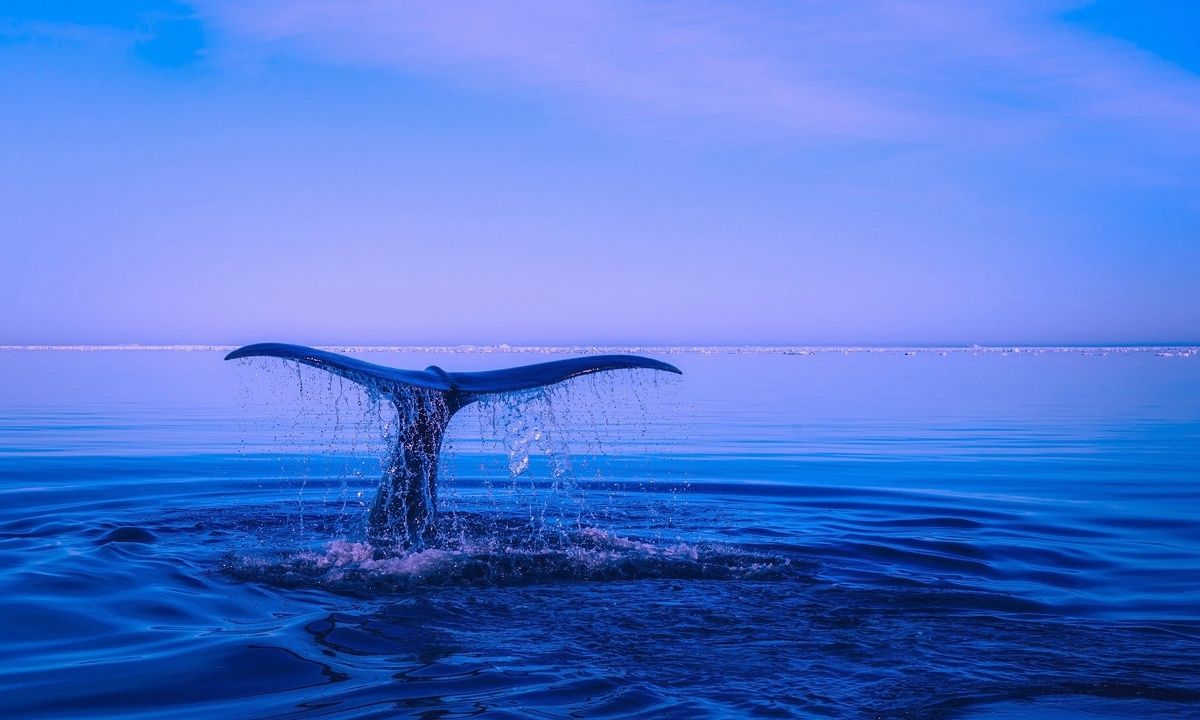 Διάβασε ΔΩΡΕΑΝ την προσωπική σου πρόβλεψη, για σήμερα 23/07/2023