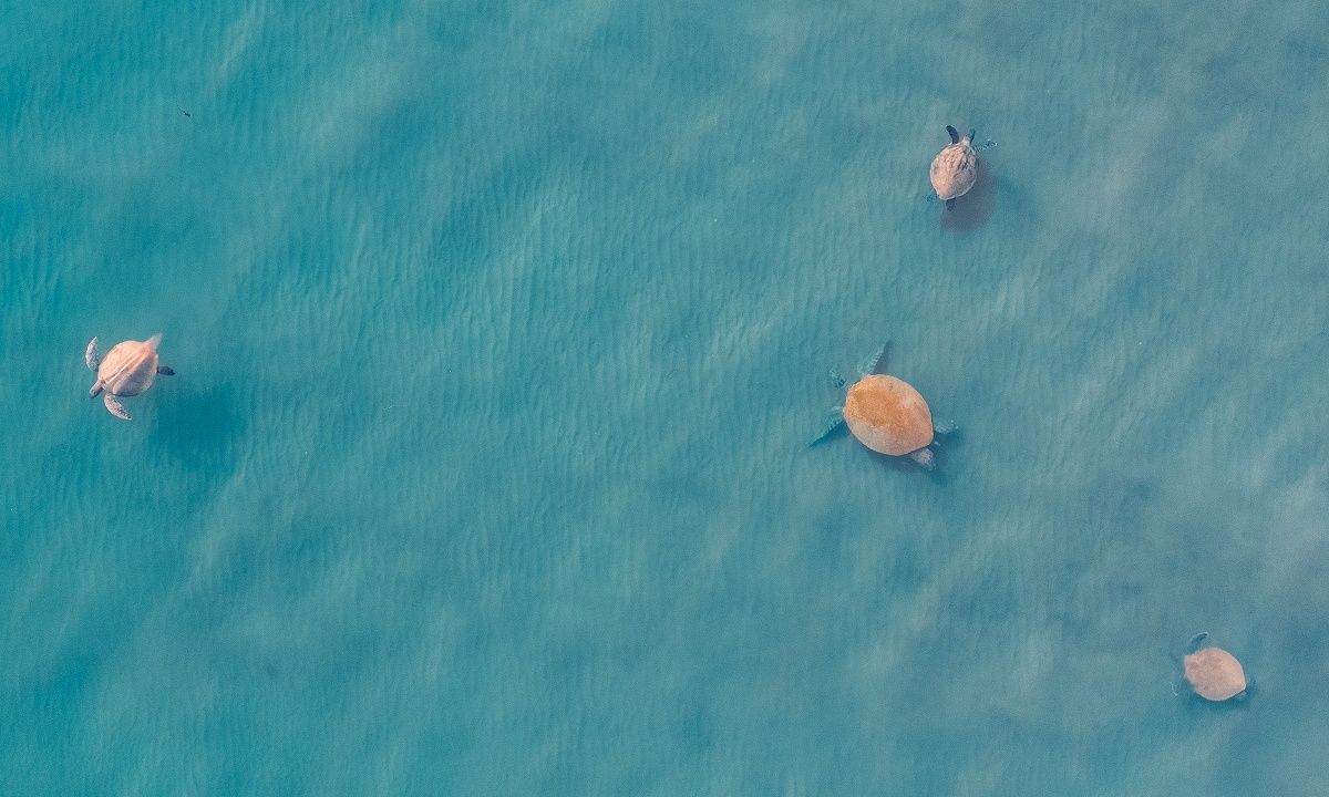 Διάβασε ΔΩΡΕΑΝ την προσωπική σου πρόβλεψη, για σήμερα 21/07/2023