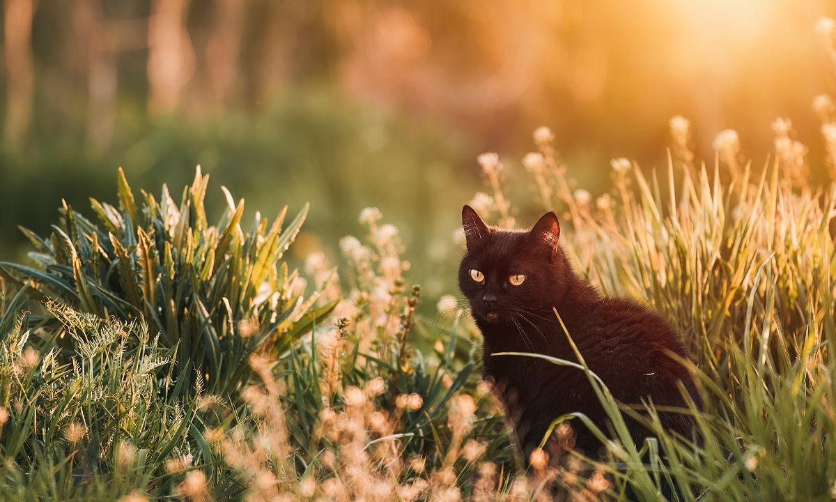 Διάβασε ΔΩΡΕΑΝ την προσωπική σου πρόβλεψη, για σήμερα 25/07/2023