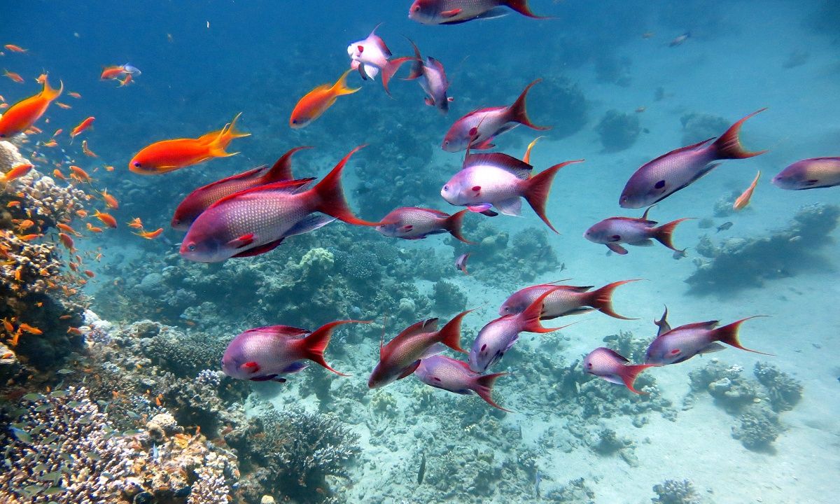 Διάβασε ΔΩΡΕΑΝ την προσωπική σου πρόβλεψη, για σήμερα 19/07/2023