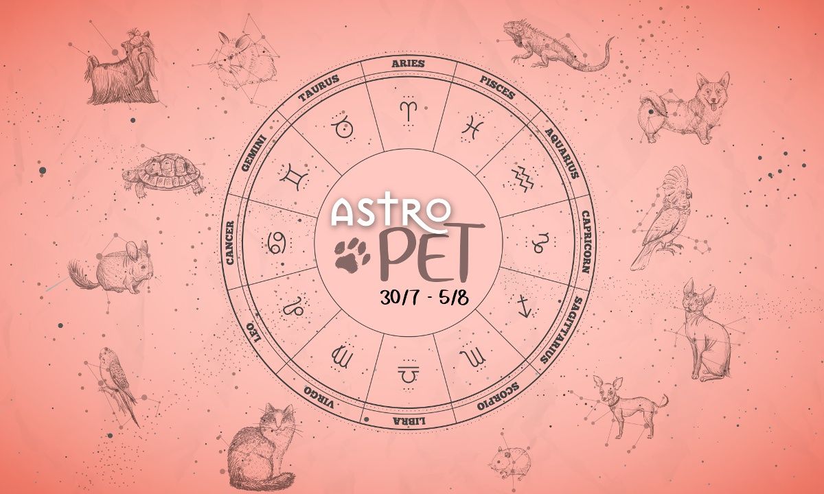 AstroPet 30/07-05/08: Εβδομαδιαίες προβλέψεις για το κατοικίδιό σου