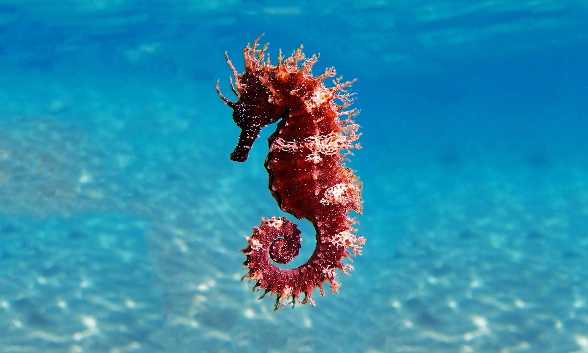 Διάβασε ΔΩΡΕΑΝ την προσωπική σου πρόβλεψη, για σήμερα 22/08/2023