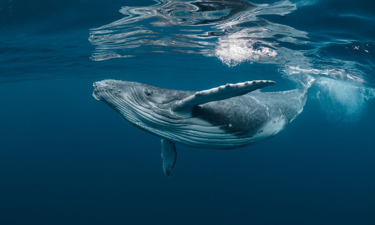 Διάβασε ΔΩΡΕΑΝ την προσωπική σου πρόβλεψη, για σήμερα 15/08/2023