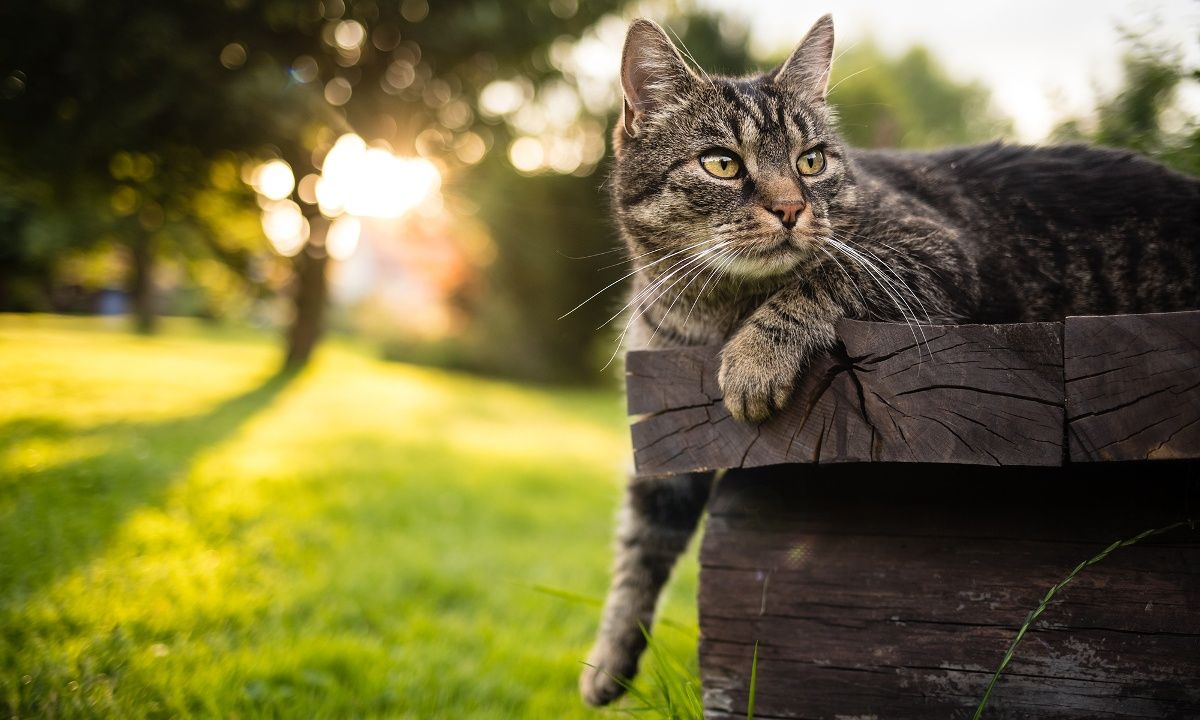 Διάβασε ΔΩΡΕΑΝ την προσωπική σου πρόβλεψη, για σήμερα 12/08/2023