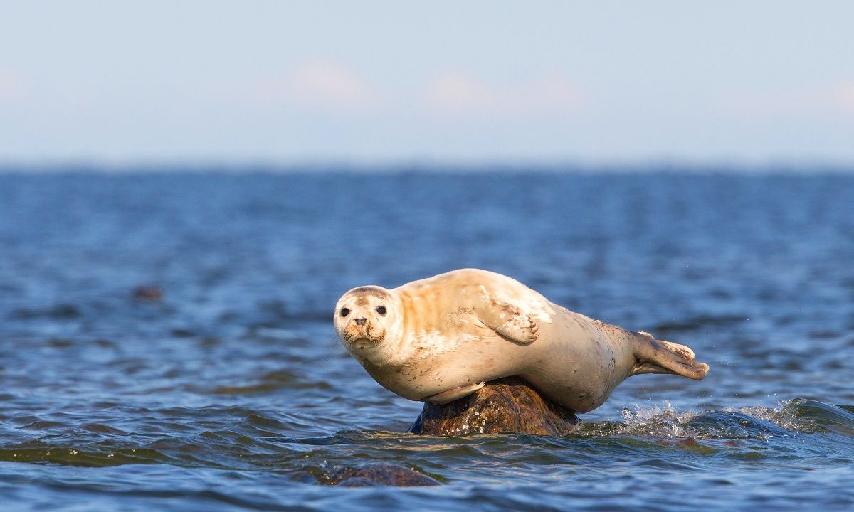 Διάβασε ΔΩΡΕΑΝ την προσωπική σου πρόβλεψη, για σήμερα 10/08/2023
