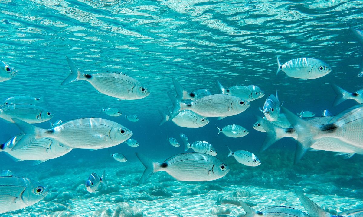 Διάβασε ΔΩΡΕΑΝ την προσωπική σου πρόβλεψη, για σήμερα 24/08/2023