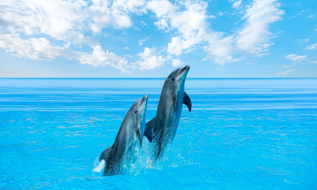 Διάβασε ΔΩΡΕΑΝ την προσωπική σου πρόβλεψη, για σήμερα 04/08/2023