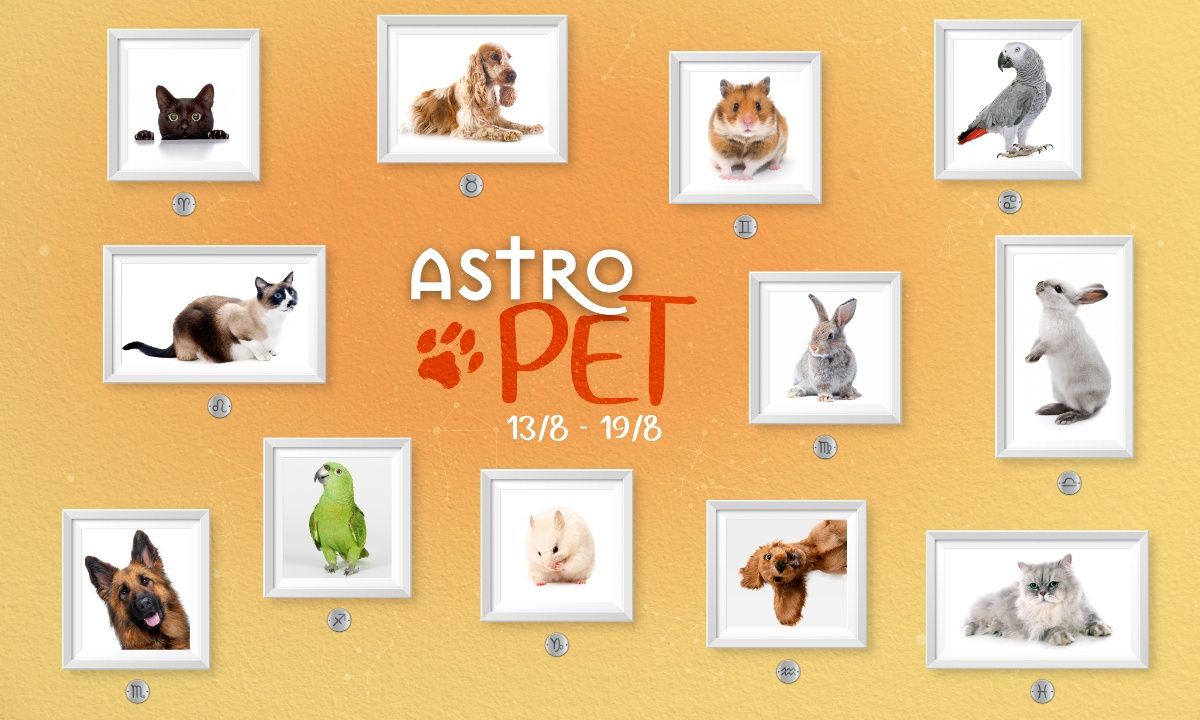 AstroPet 13/08 - 19/08: Εβδομαδιαίες προβλέψεις για το κατοικίδιό σου