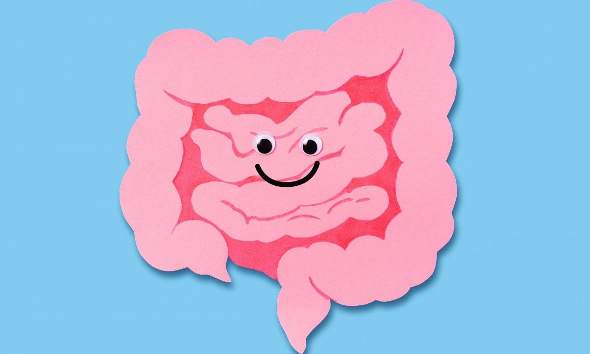 Ποια διατροφή βελτιώνει το μικροβίωμα του εντέρου μας