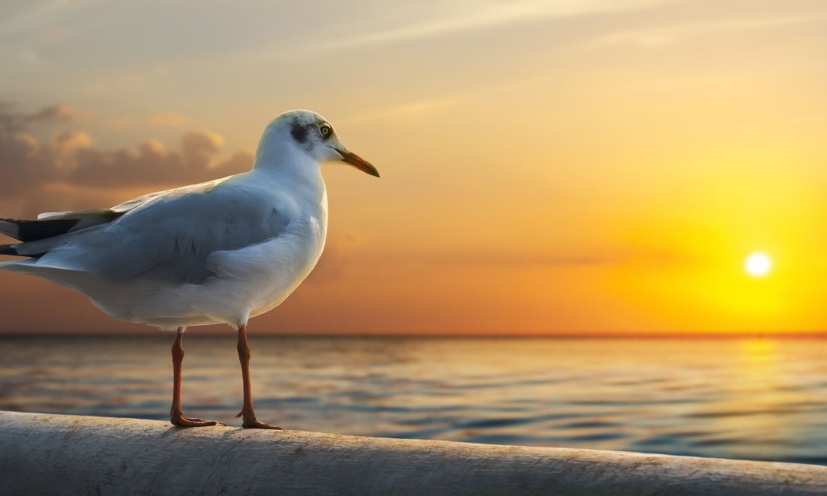 Διάβασε ΔΩΡΕΑΝ την προσωπική σου πρόβλεψη, για σήμερα 29/08/2023