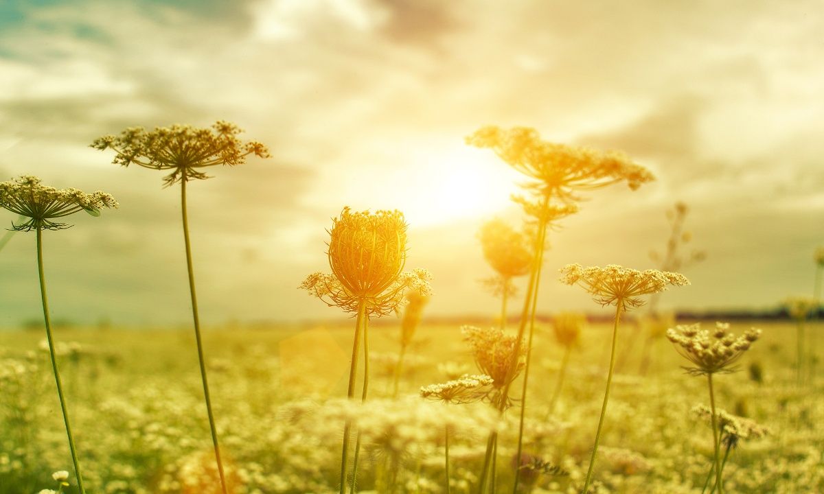 Διάβασε ΔΩΡΕΑΝ την προσωπική σου πρόβλεψη, για σήμερα 27/08/2023
