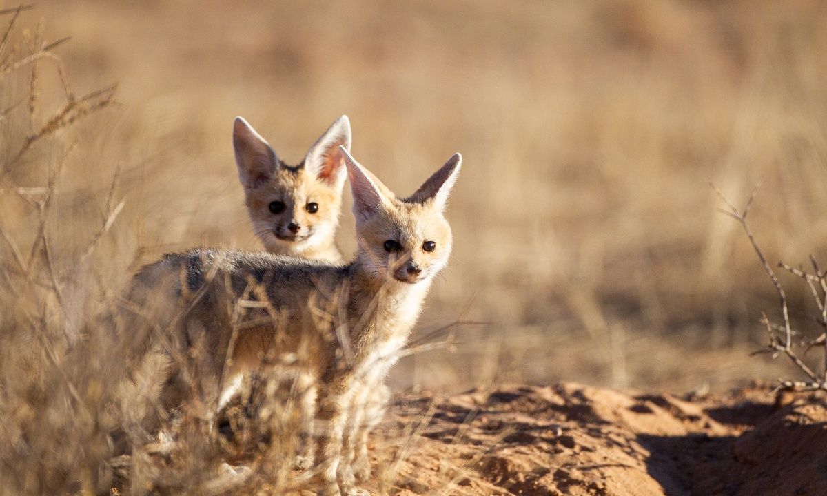 Διάβασε ΔΩΡΕΑΝ την προσωπική σου πρόβλεψη, για σήμερα 31/08/2023