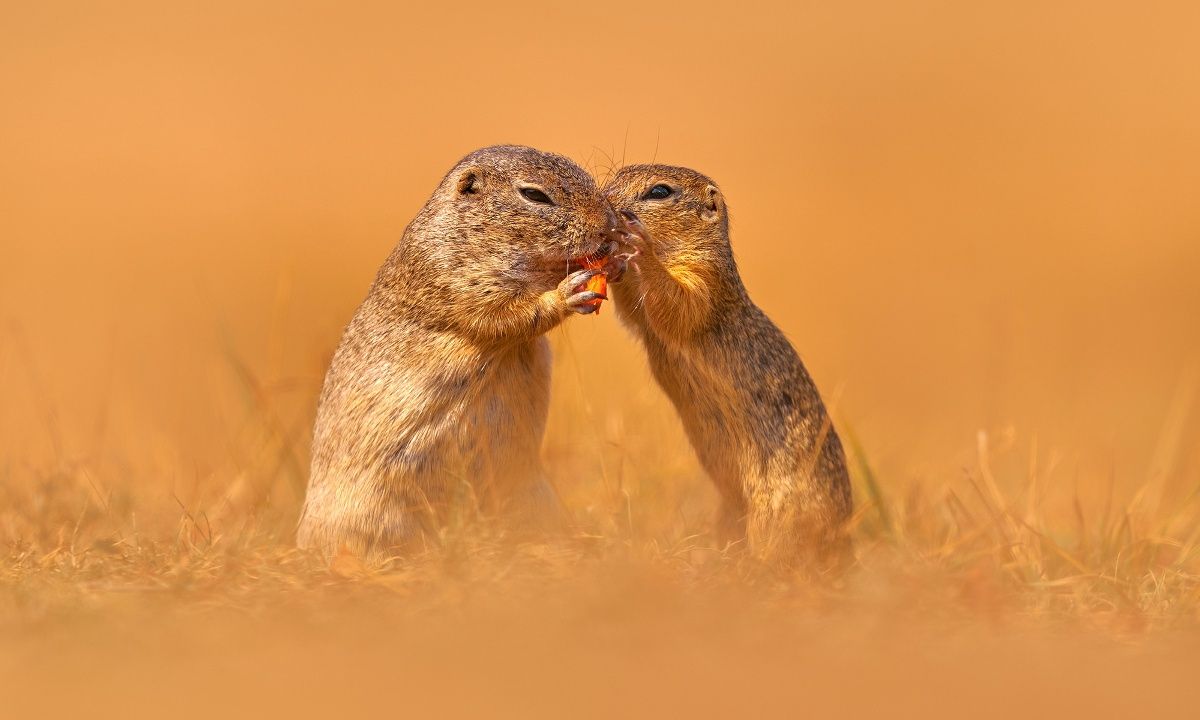 Διάβασε ΔΩΡΕΑΝ την προσωπική σου πρόβλεψη, για σήμερα 28/08/2023