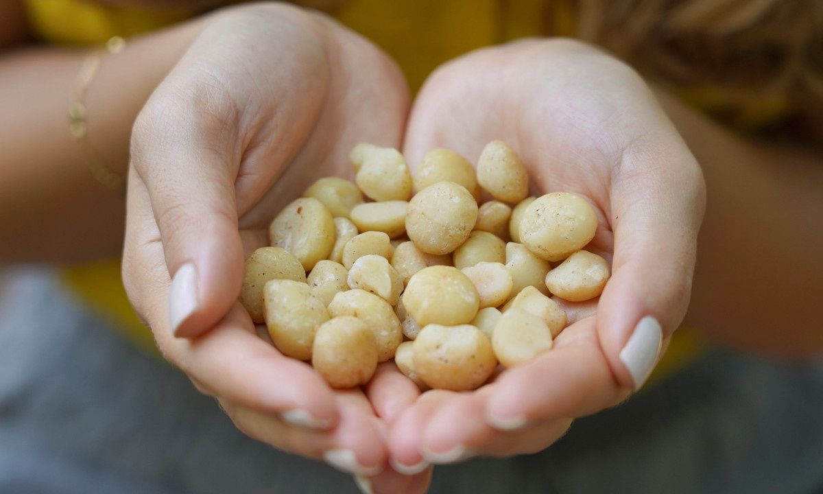 Τα άγνωστα οφέλη των μακαντέμια