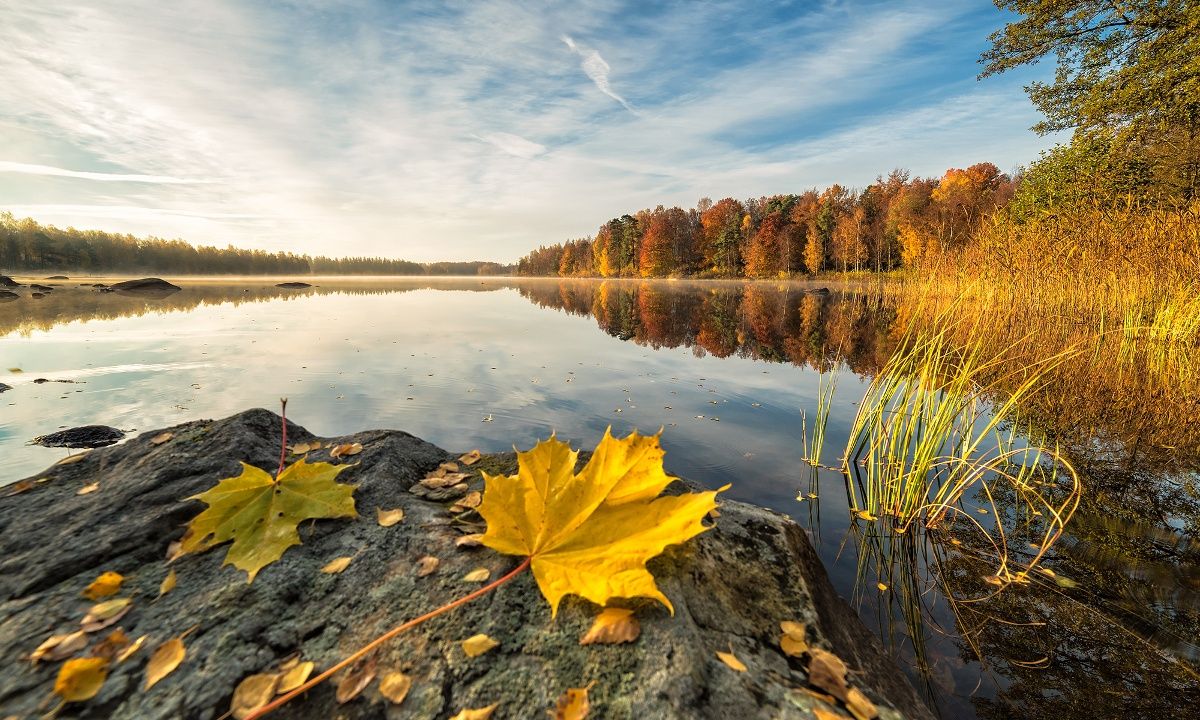 Διάβασε ΔΩΡΕΑΝ την προσωπική σου πρόβλεψη, για σήμερα 03/09/2023
