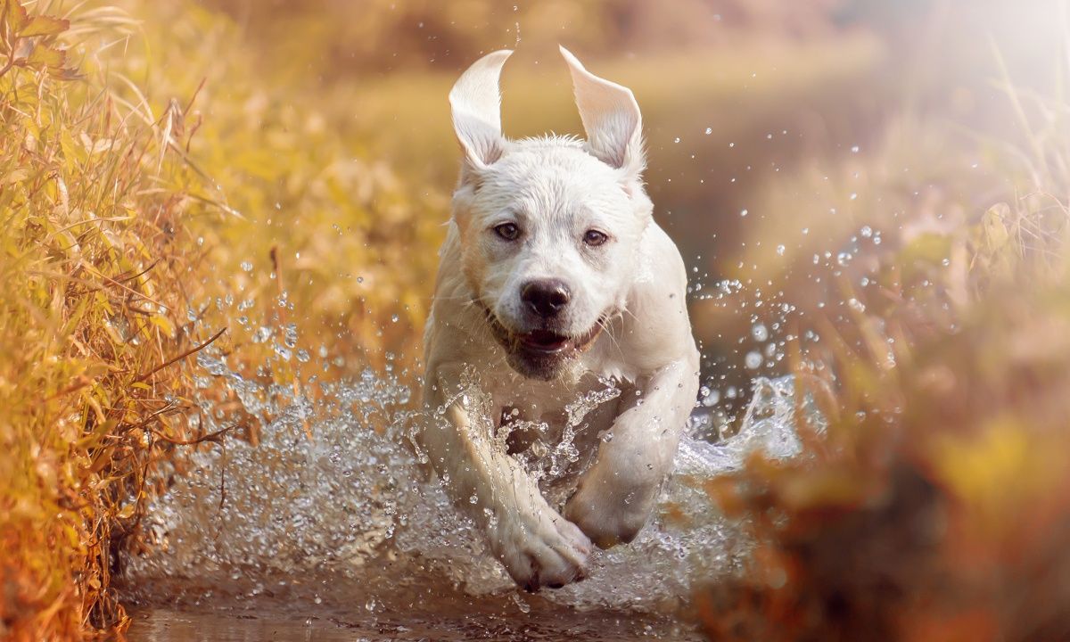 Διάβασε ΔΩΡΕΑΝ την προσωπική σου πρόβλεψη, για σήμερα 04/09/2023