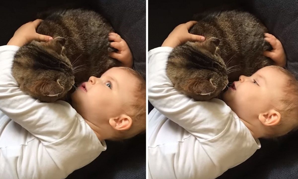 Αξιολάτρευτο νήπιο «συνομιλεί» με τη γάτα του