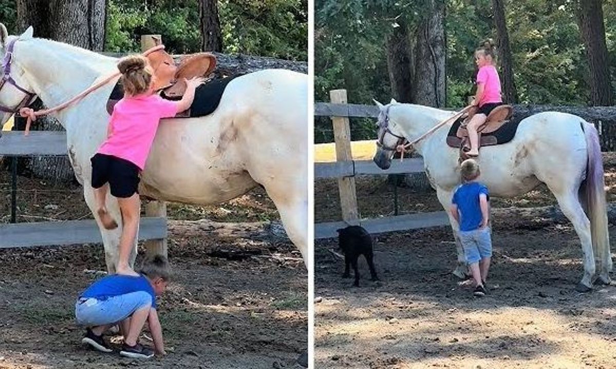 Φοβερός αδελφός: Βοήθησε την αδελφή του ν' ανέβει στο άλογο