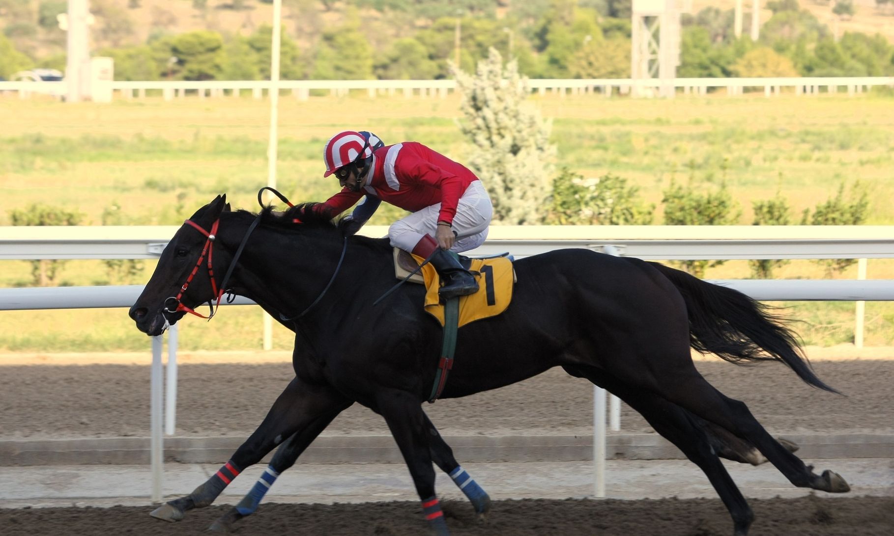 Πλήθος νικητών στο ΣΚΟΡ 6 τη Δευτέρα στο Markopoulo Park