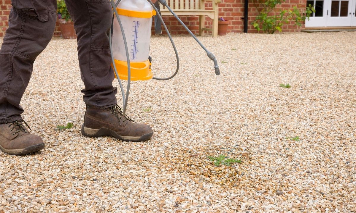 Γλυφοσάτη: Τι είναι και τι προκαλεί στα παιδιά