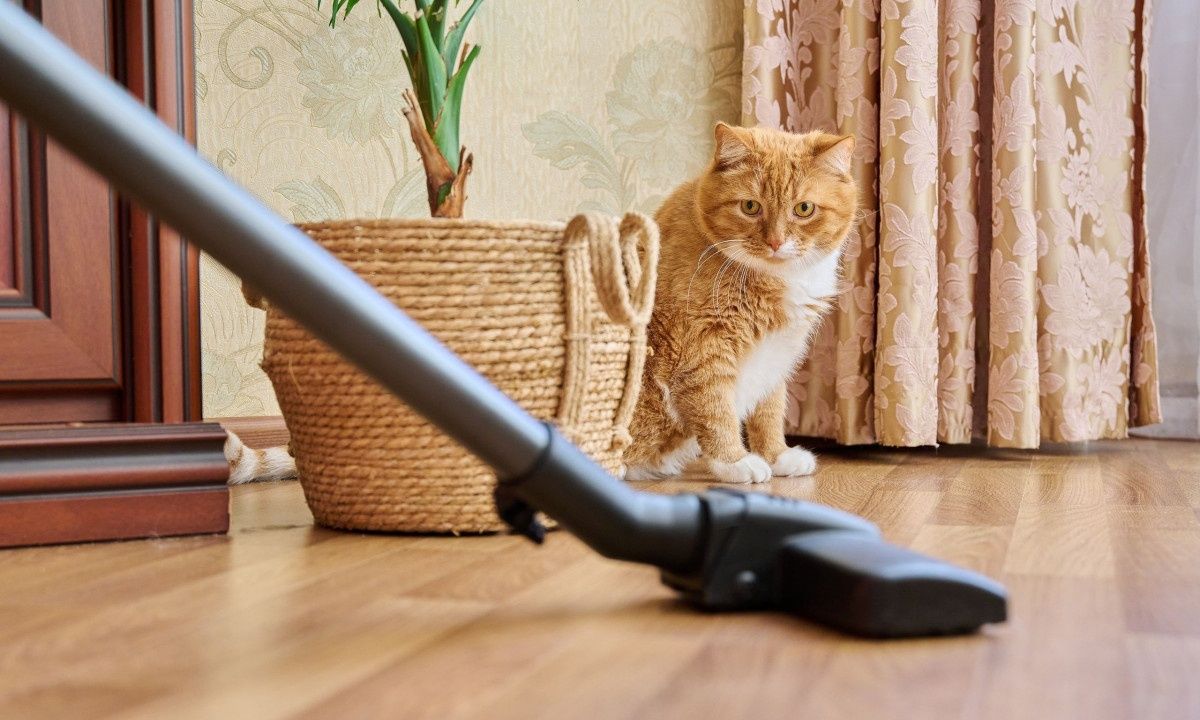 Τι δεν πρέπει να σκουπίζετε με την ηλεκτρική σκούπα