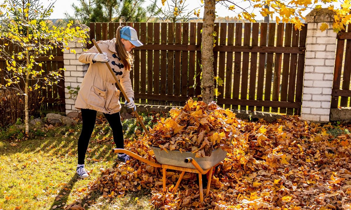 Προβλέψεις για όλα τα Ζώδια, 11/11: Ανεξέλεγκτες αντιδράσεις