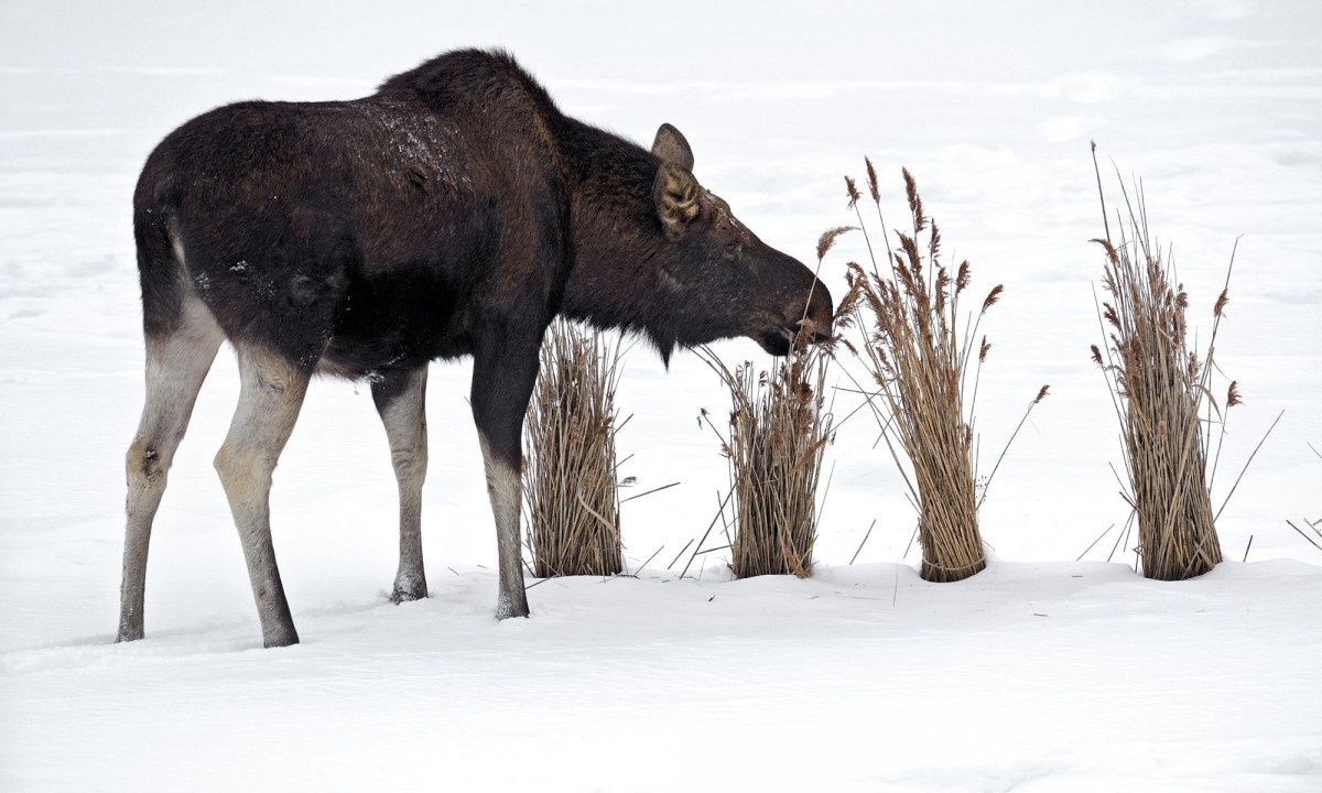 Διάβασε ΔΩΡΕΑΝ την προσωπική σου πρόβλεψη, για σήμερα 13/12/2023