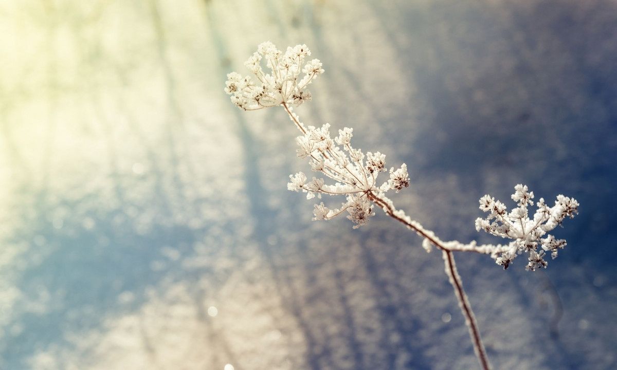 Διάβασε ΔΩΡΕΑΝ την προσωπική σου πρόβλεψη, για σήμερα 02/01/2024