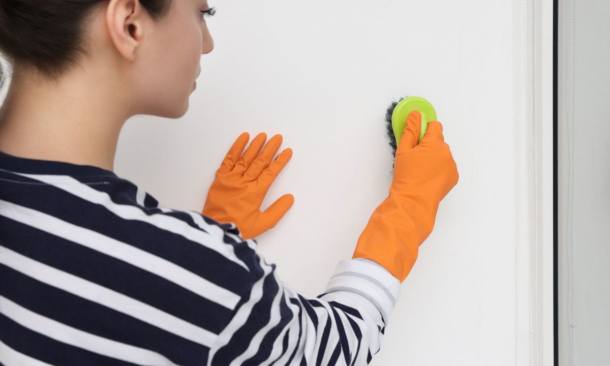 Συμβουλές πρόληψης για τη μούχλα