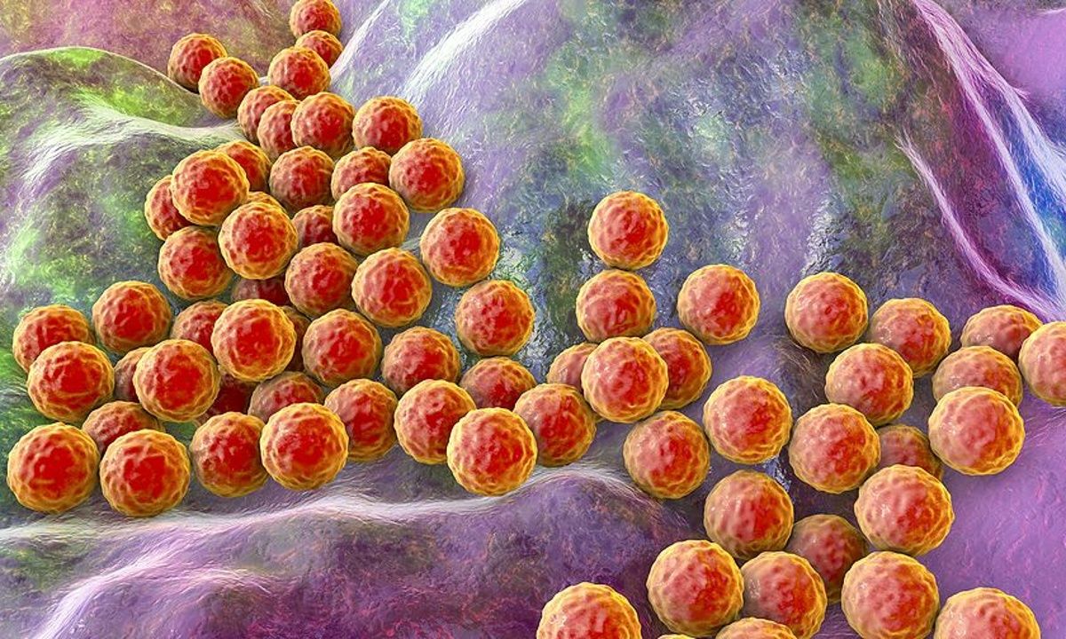 Σταφυλόκοκκος: Ποιοι είναι οι συχνότεροι τρόποι μετάδοσης