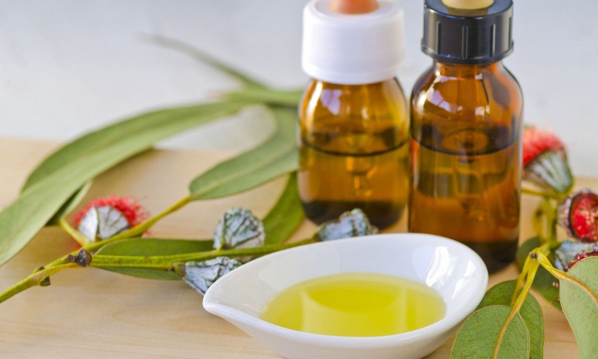 Καθαρίστε και απολυμάνετε το σπίτι με ευκάλυπτο