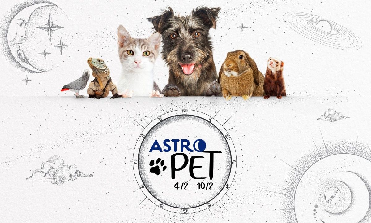 AstroPet 04/02-10/02: Εβδομαδιαίες προβλέψεις για το κατοικίδιό σου